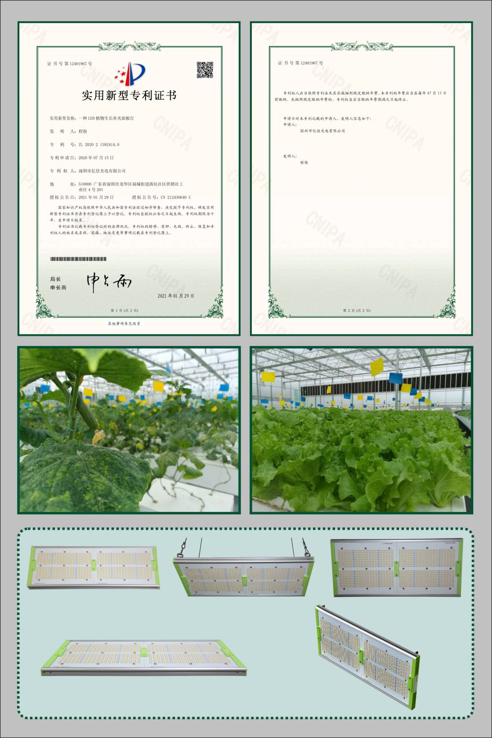 尊龙凯时人生就是搏植物生长面板灯实用新型专利